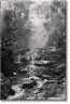 Salgado. Amazônia. Magnet ‘Creek’