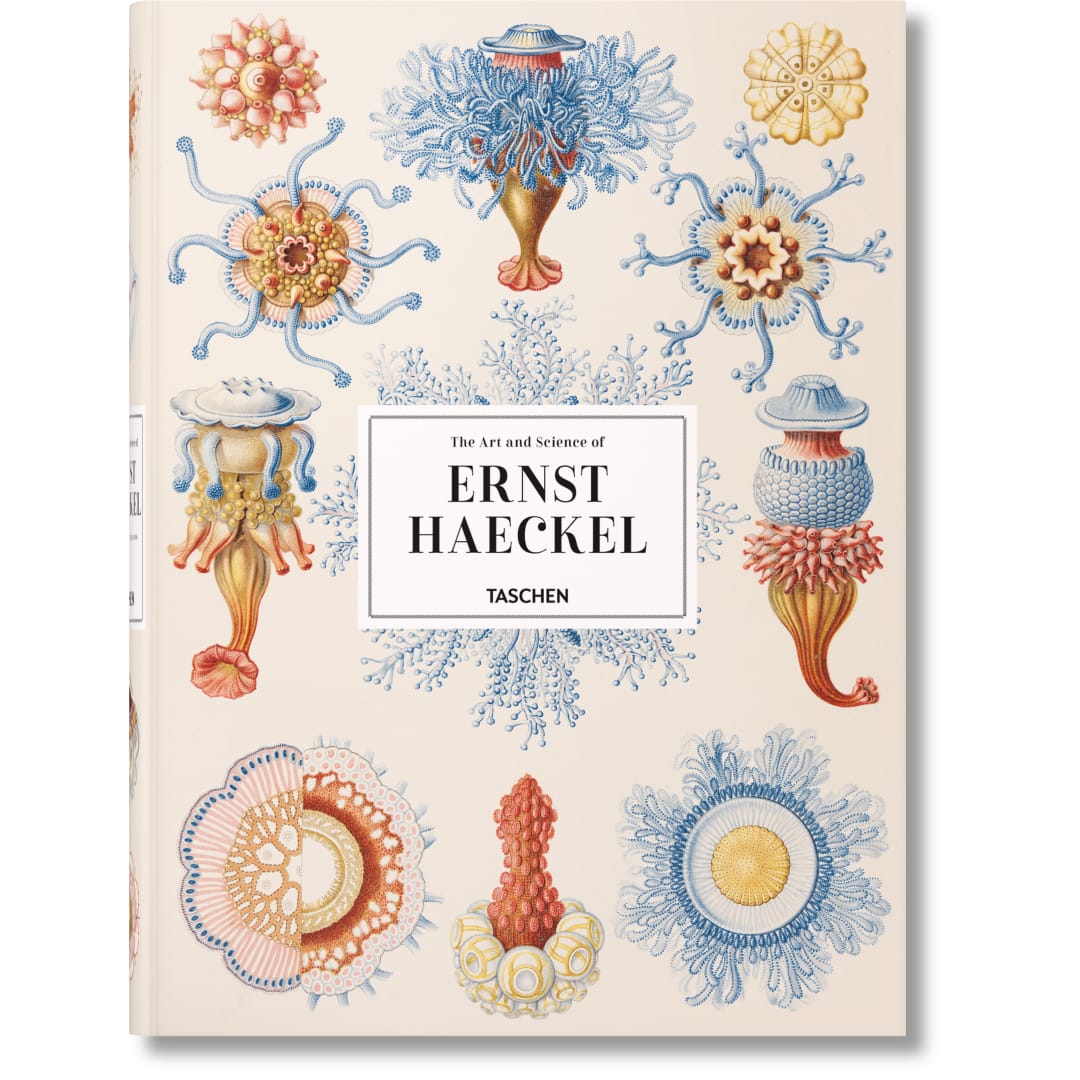 The Art and Science of Ernst Haeckel