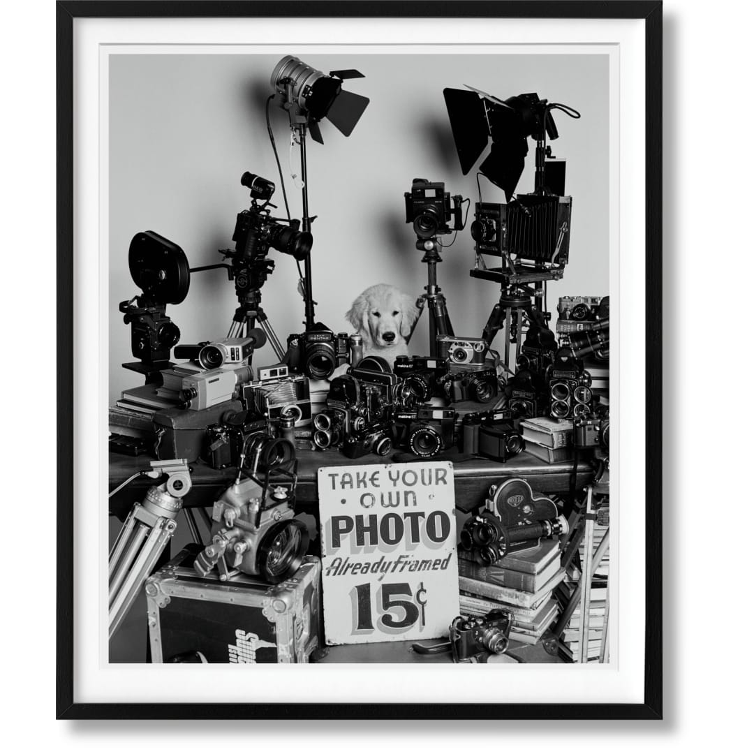 Bruce Weber. The Golden Retriever Photographic Society. Art Edition No. 101–200 ‘Hud, New York City, 2011’