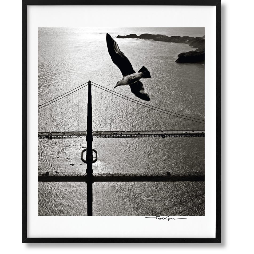 San Francisco. Portrait of a City, Art Edition No. 76–150 'Seagull over Golden Gate Bridge, early 1950s'