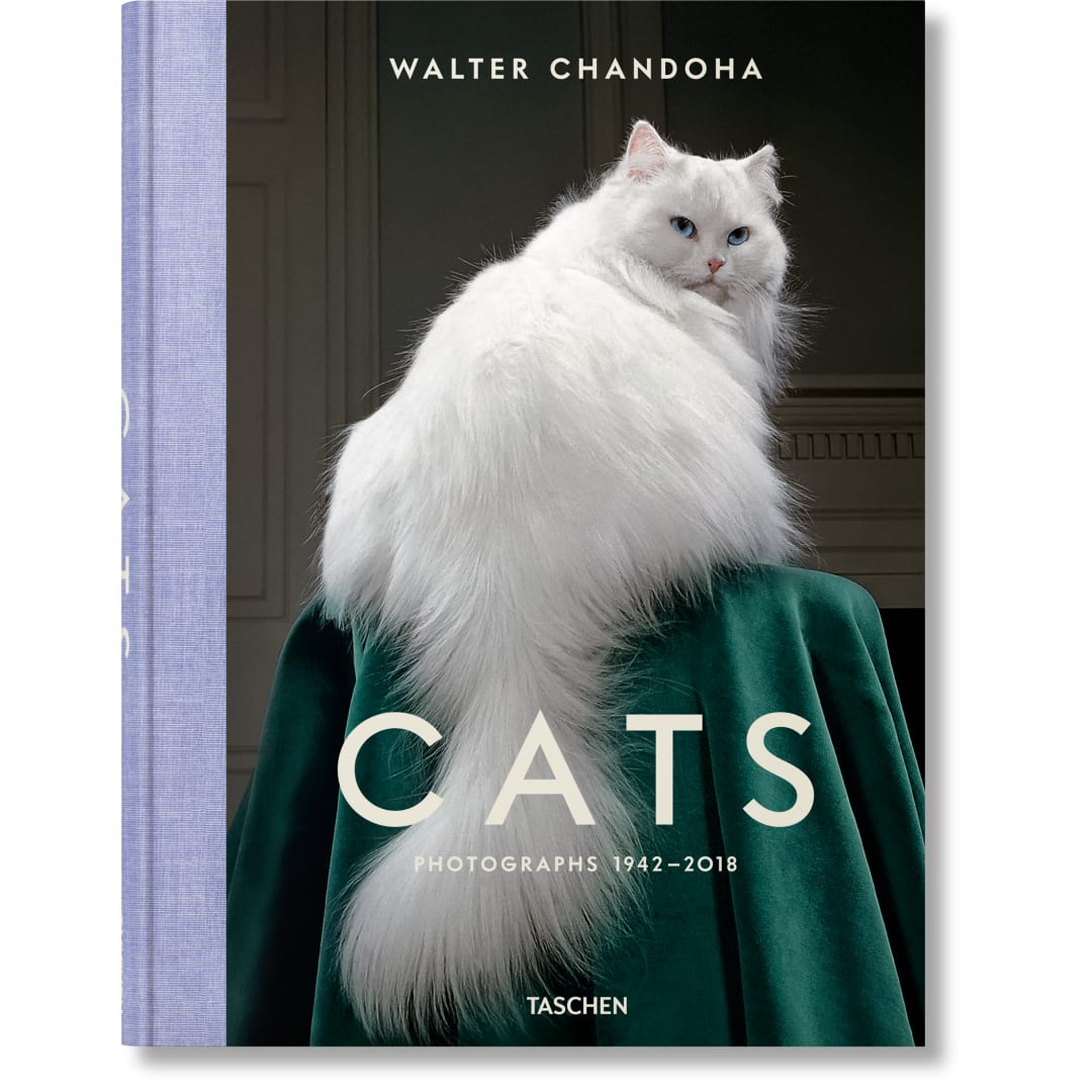 Walter Chandoha. Cats. Photographs 1942–2018