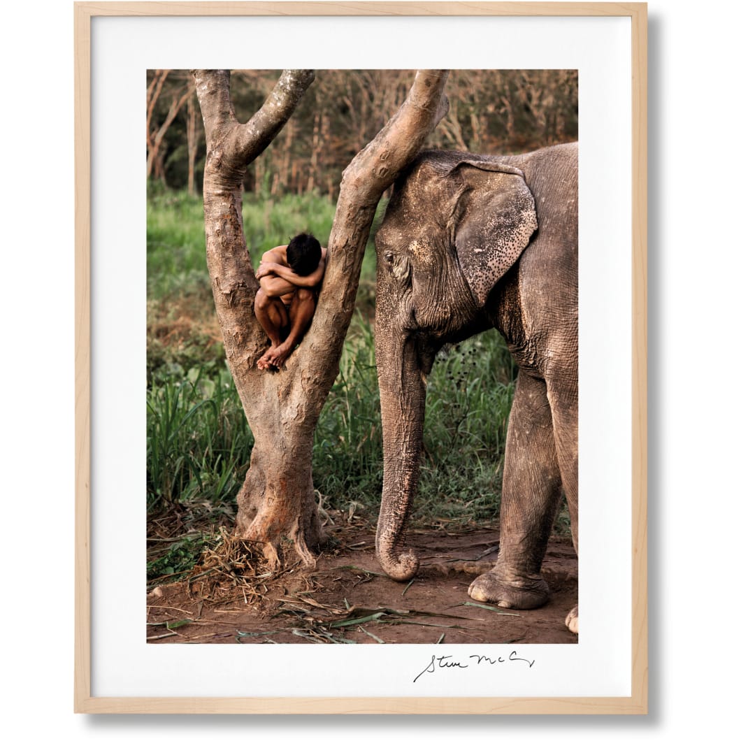 Steve McCurry. Animals. Art Edition No. 1–100 ‘Chiang Mai, Thailand, 2010’