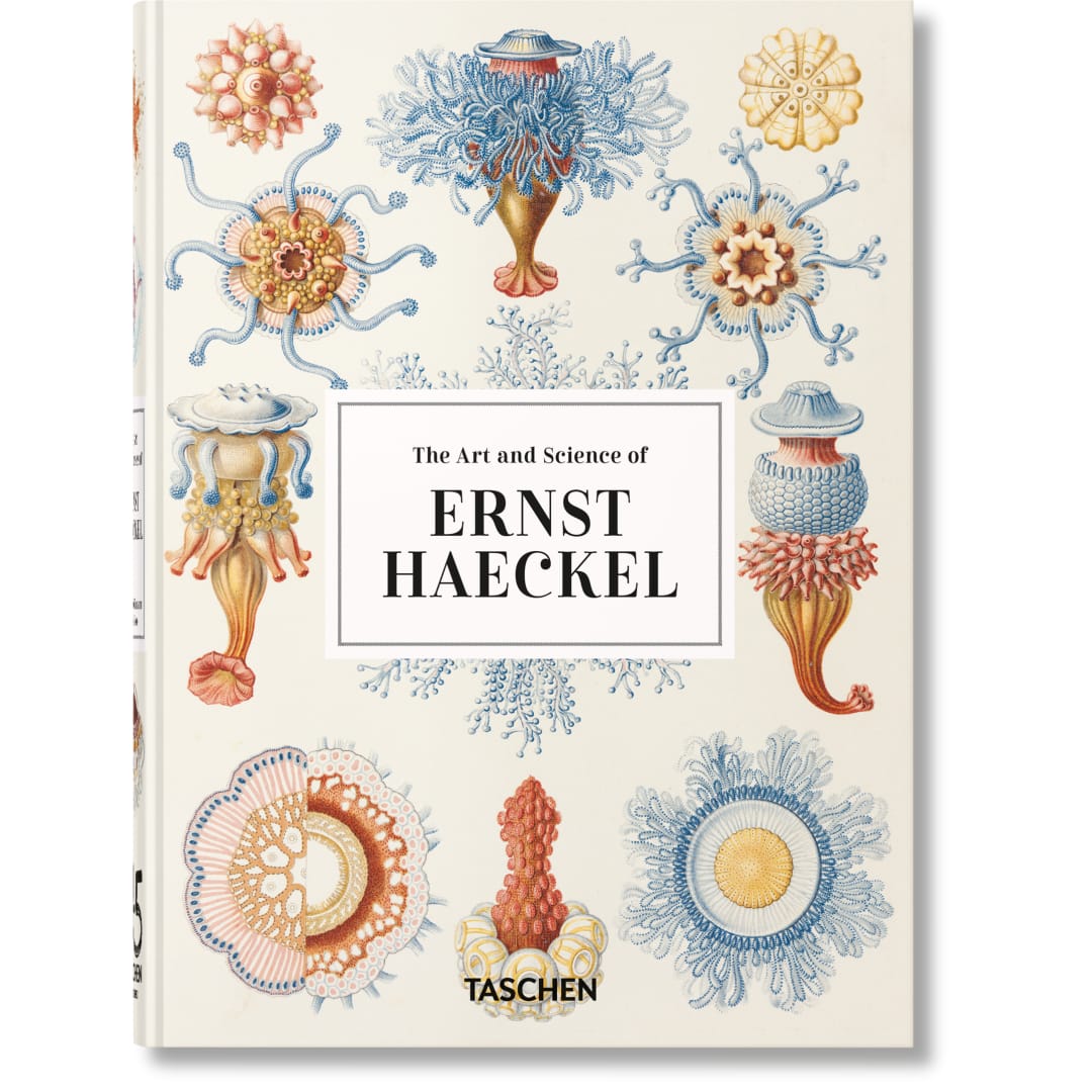 L’art et la science de Ernst Haeckel. 45th Ed.