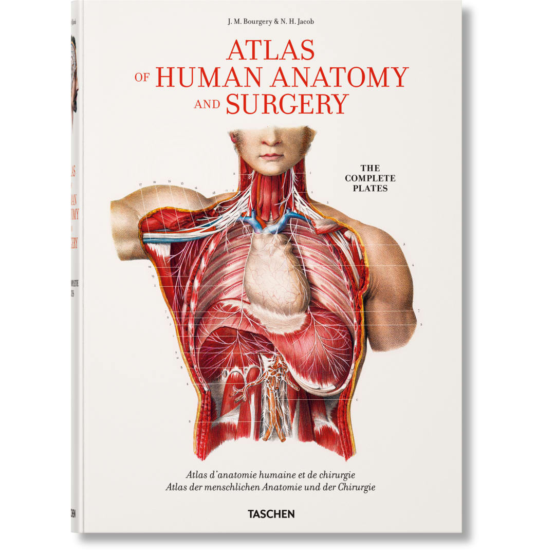 Bourgery. Atlas of Human Anatomy and Surgery