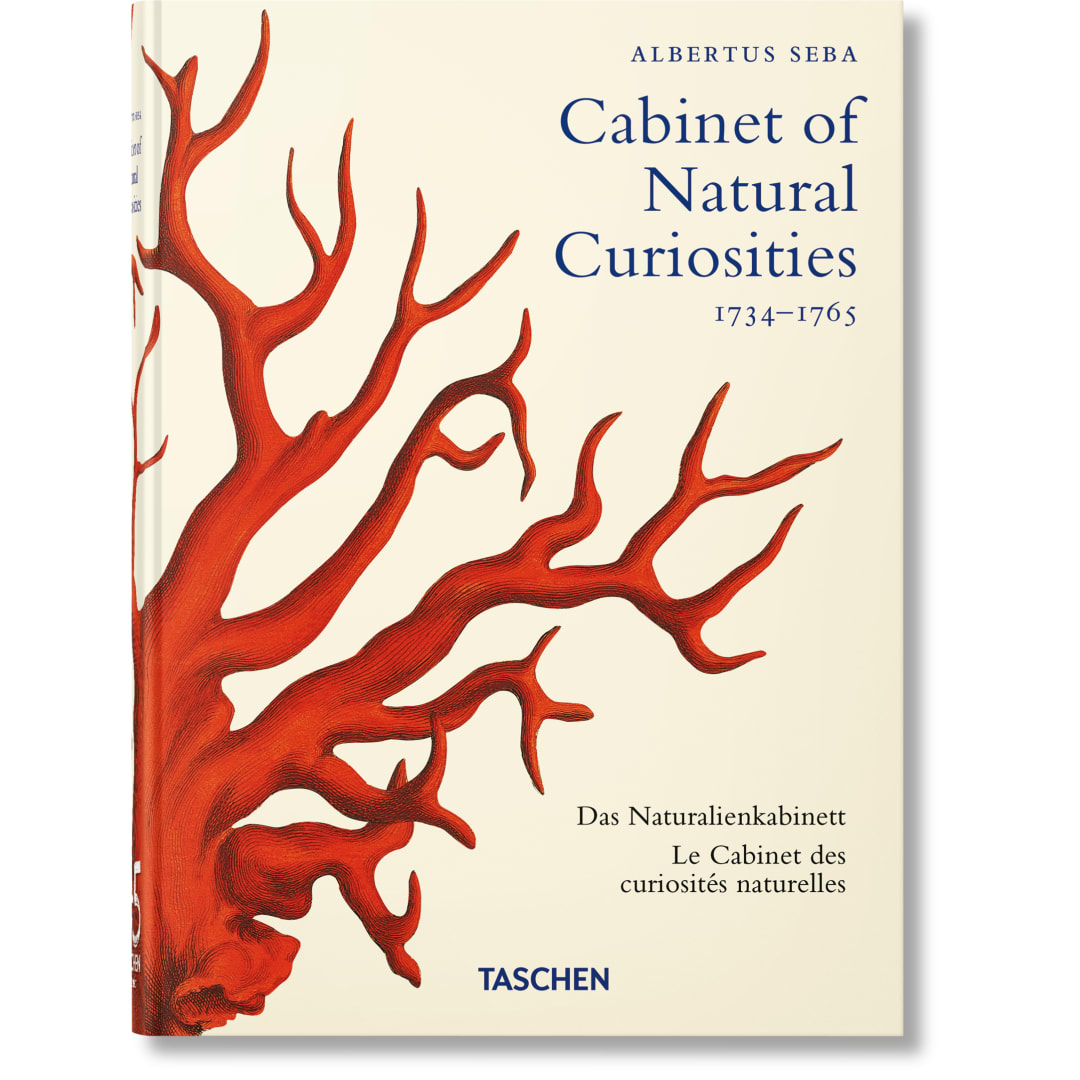 Seba. Cabinet of Natural Curiosities. 45th Ed.