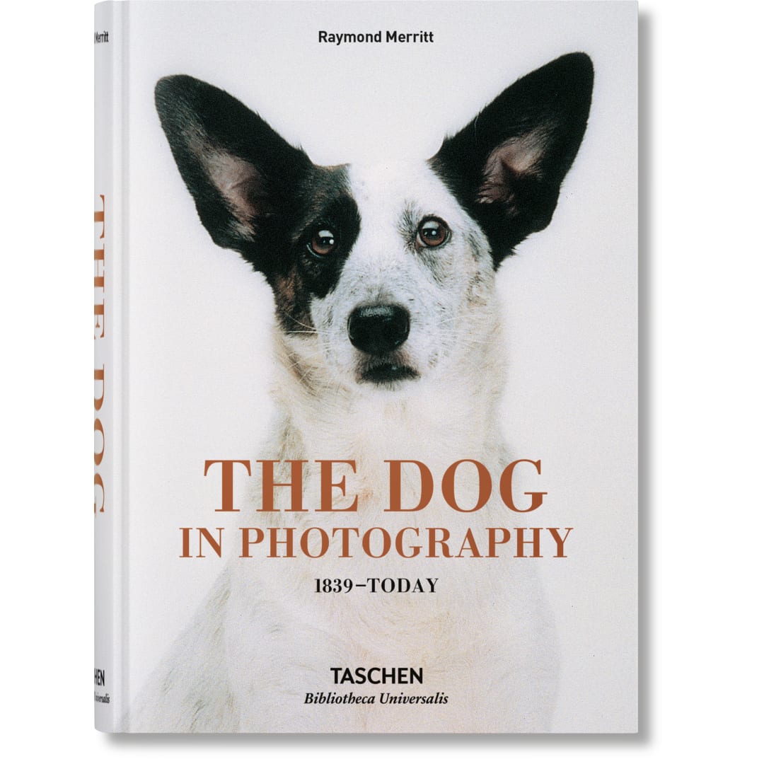 The Dog in Photography 1839–Today
