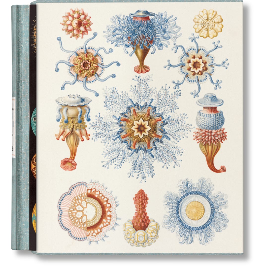 The Art and Science of Ernst Haeckel