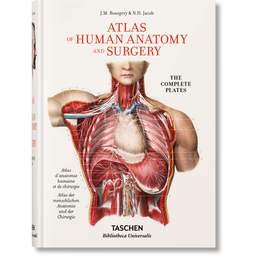 Bourgery. Atlas of Human Anatomy and Surgery