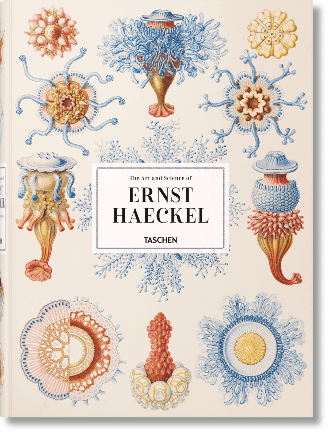 Taschen The Art And Science Of Ernst Haeckel