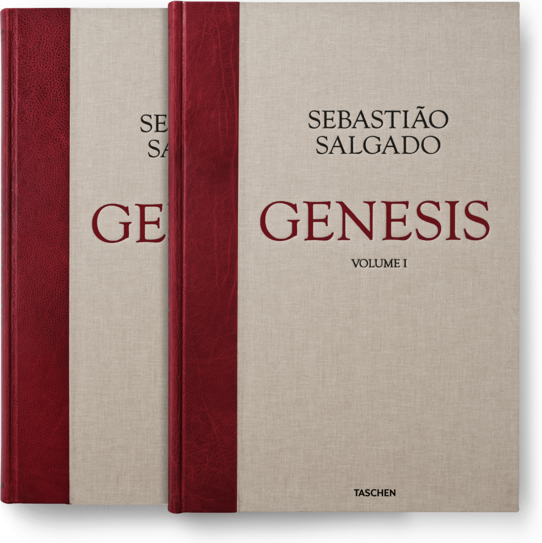 Sebastiao Salgado. Genesis