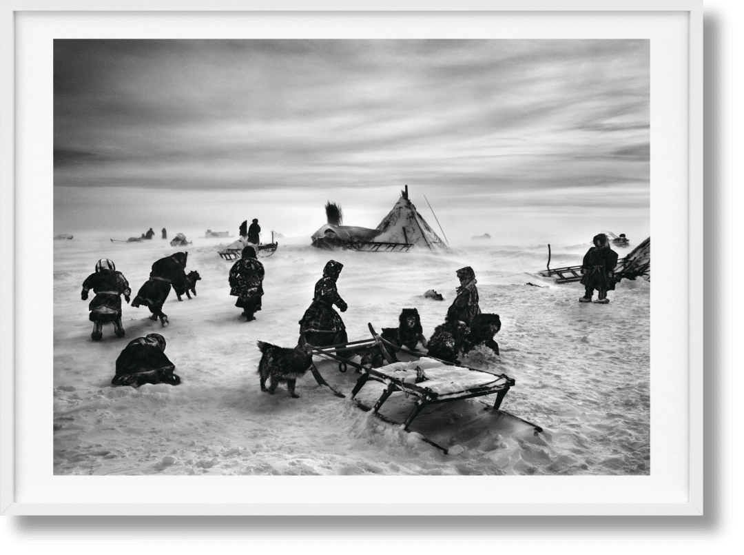 Taschen Sebastião Salgado. Genesis. Art Edition No. 101–200 ‘north Of The Ob River, Yamal Peninsula, Siberia In Brown