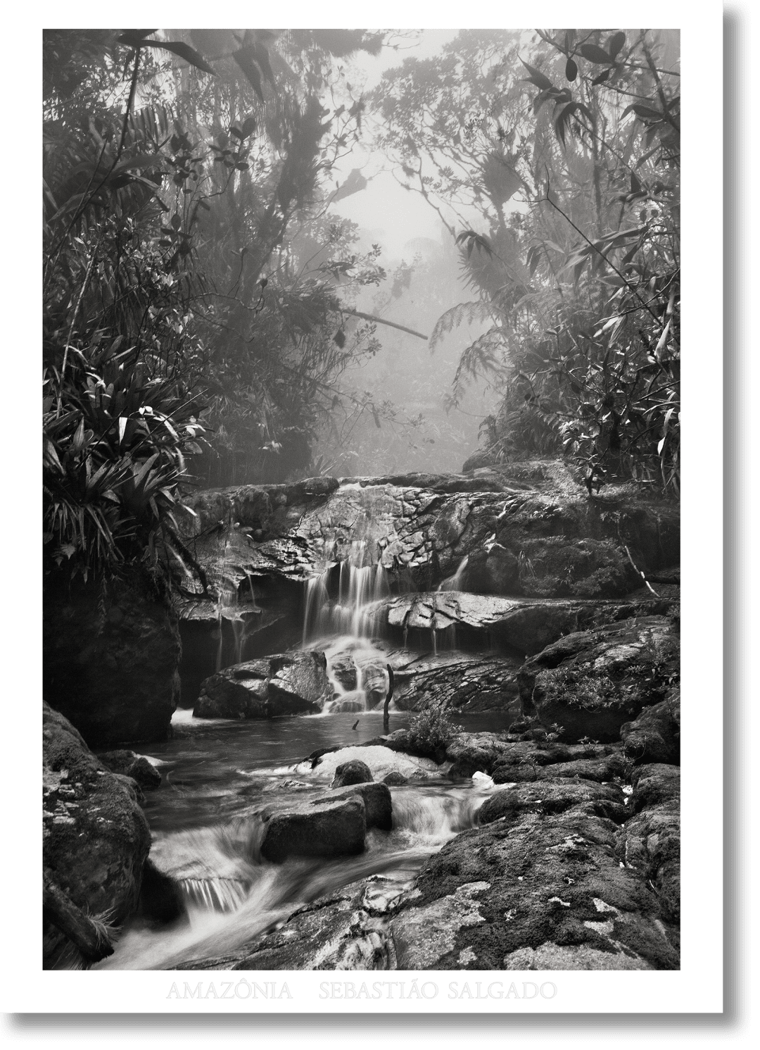 Taschen Sebastião Salgado. Amazônia. Poster ‘creek'