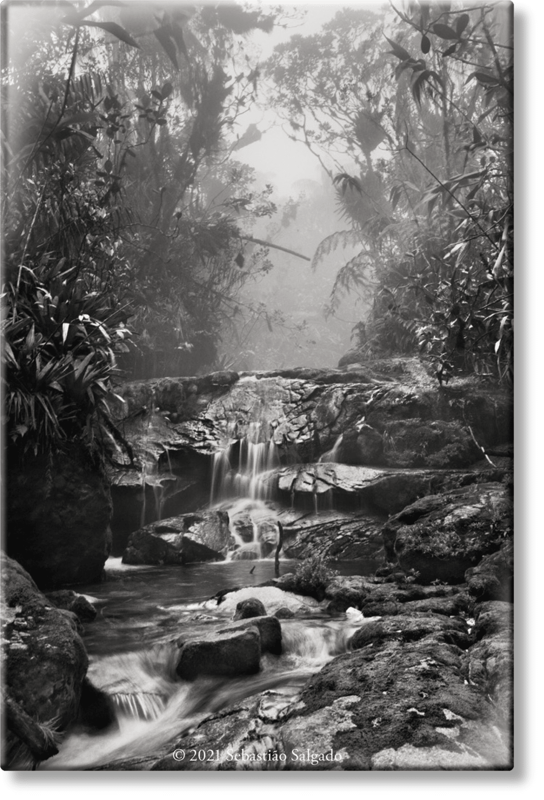 Taschen Salgado. Amazônia. Magnet ‘creek'