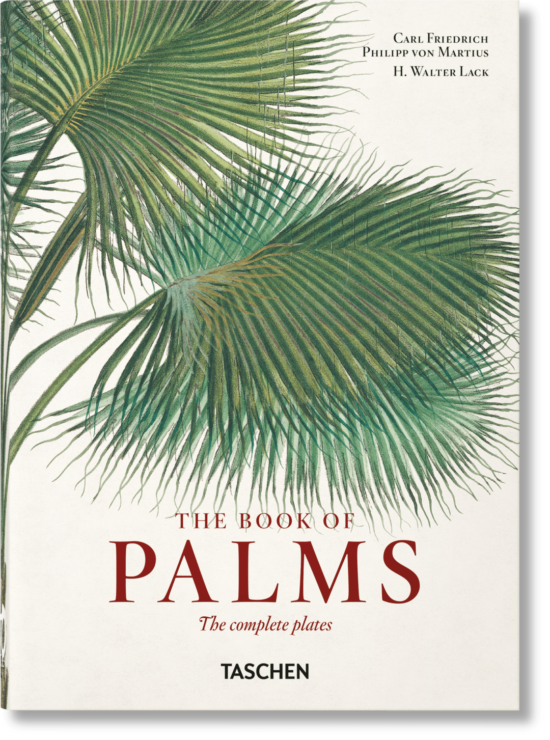 TASCHEN MARTIUS. EL LIBRO DE LAS PALMERAS. 45TH ED.