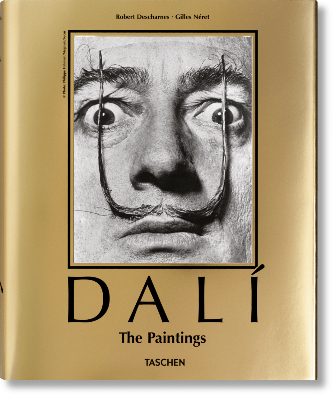 Dali. L'oeuvre peint