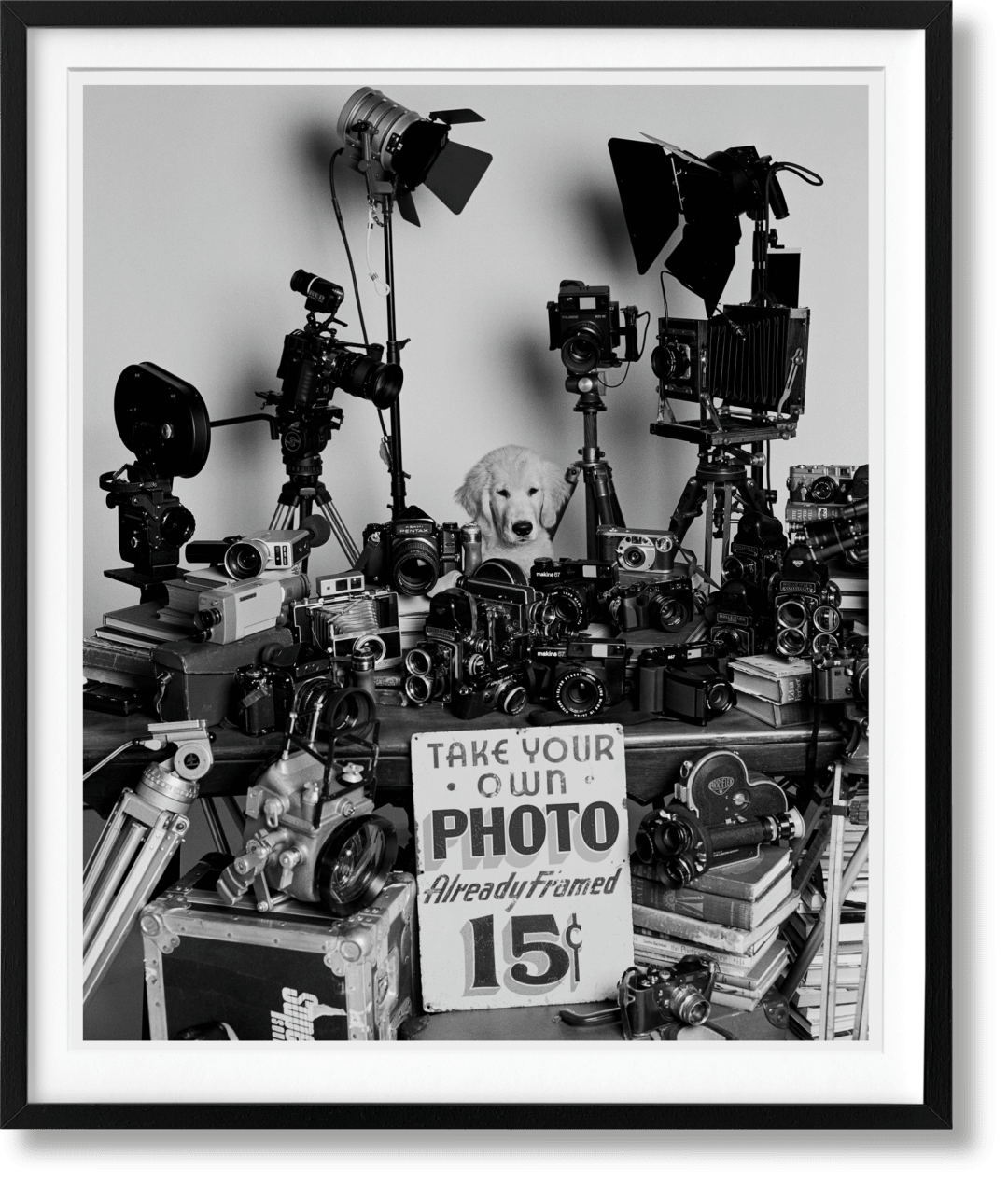 Bruce Weber. The Golden Retriever Photographic Society. Art Edition No. 101â200 &#x
