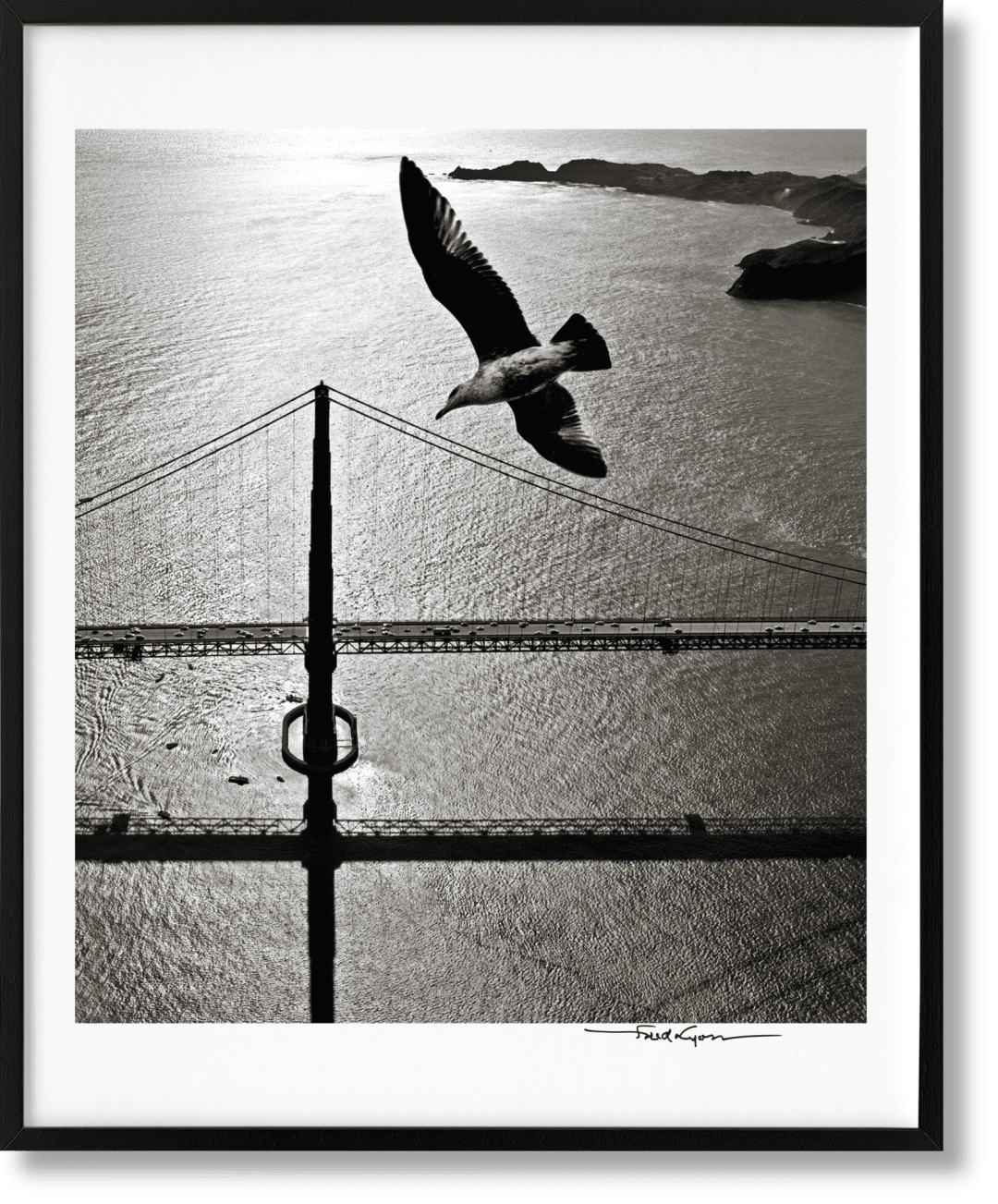 San Francisco. Portrait of a City, Art Edition No. 76â150 'Seagull over Golden Gate
