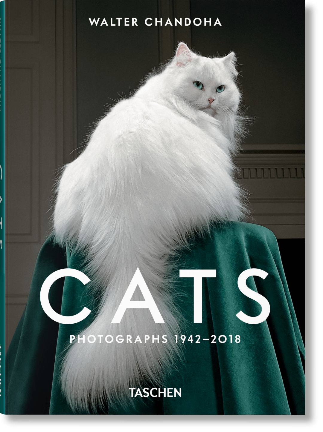 Walter Chandoha. Cats. Photographs 1942-2018