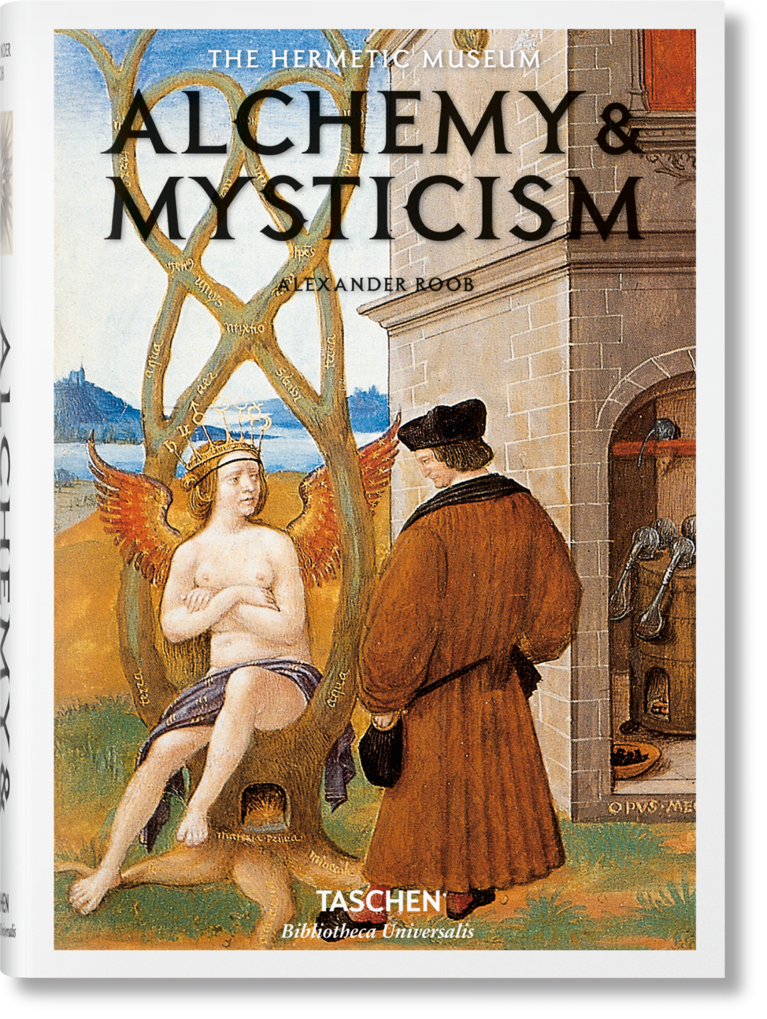 Taschen Alquimia & Mística