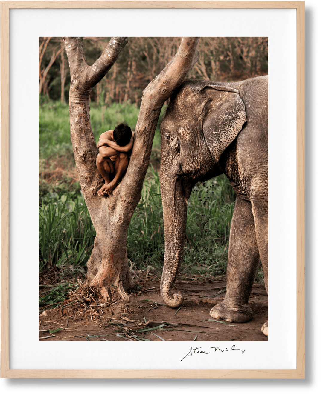 Steve McCurry. Animals. Art Edition No. 1-100 'Chiang Mai, Thailand, 2010'