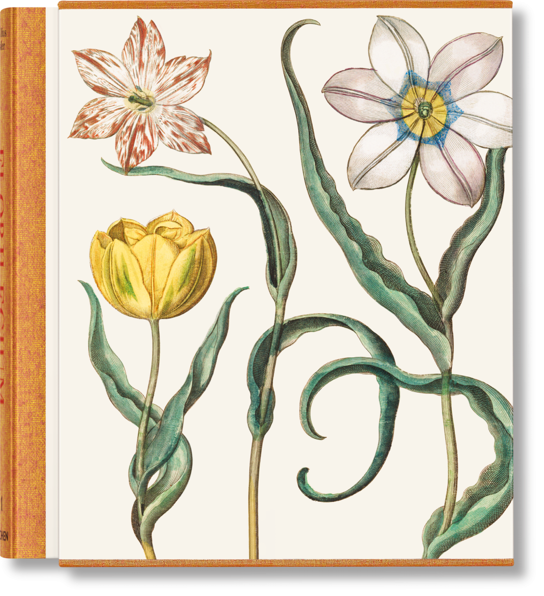 Taschen Basilius Besler. The Garden At Eichstatt 3-volume Book By Klaus Walter Littger & Werner Dressendorfe