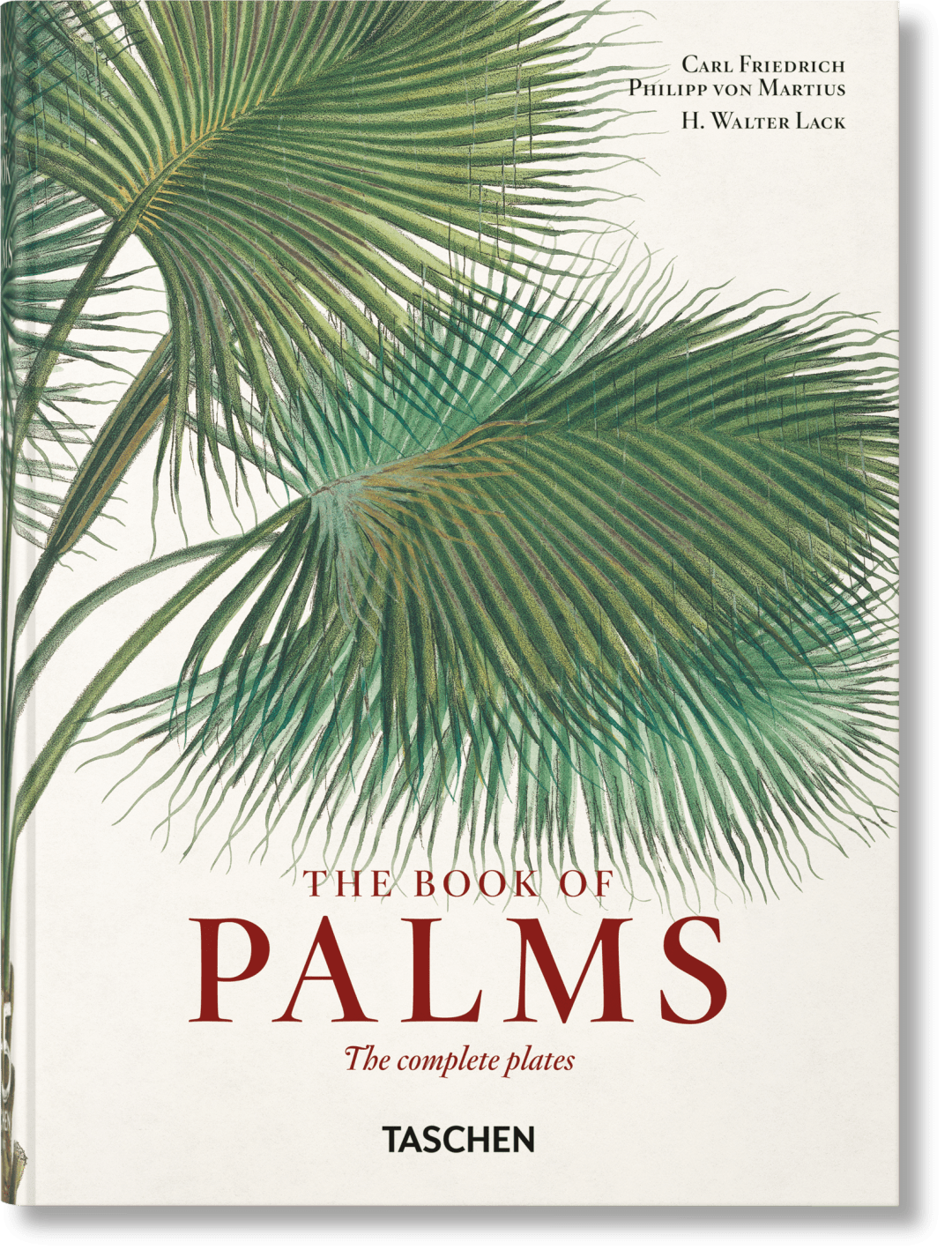 Martius. El libro de las palmeras. 45th Ed.