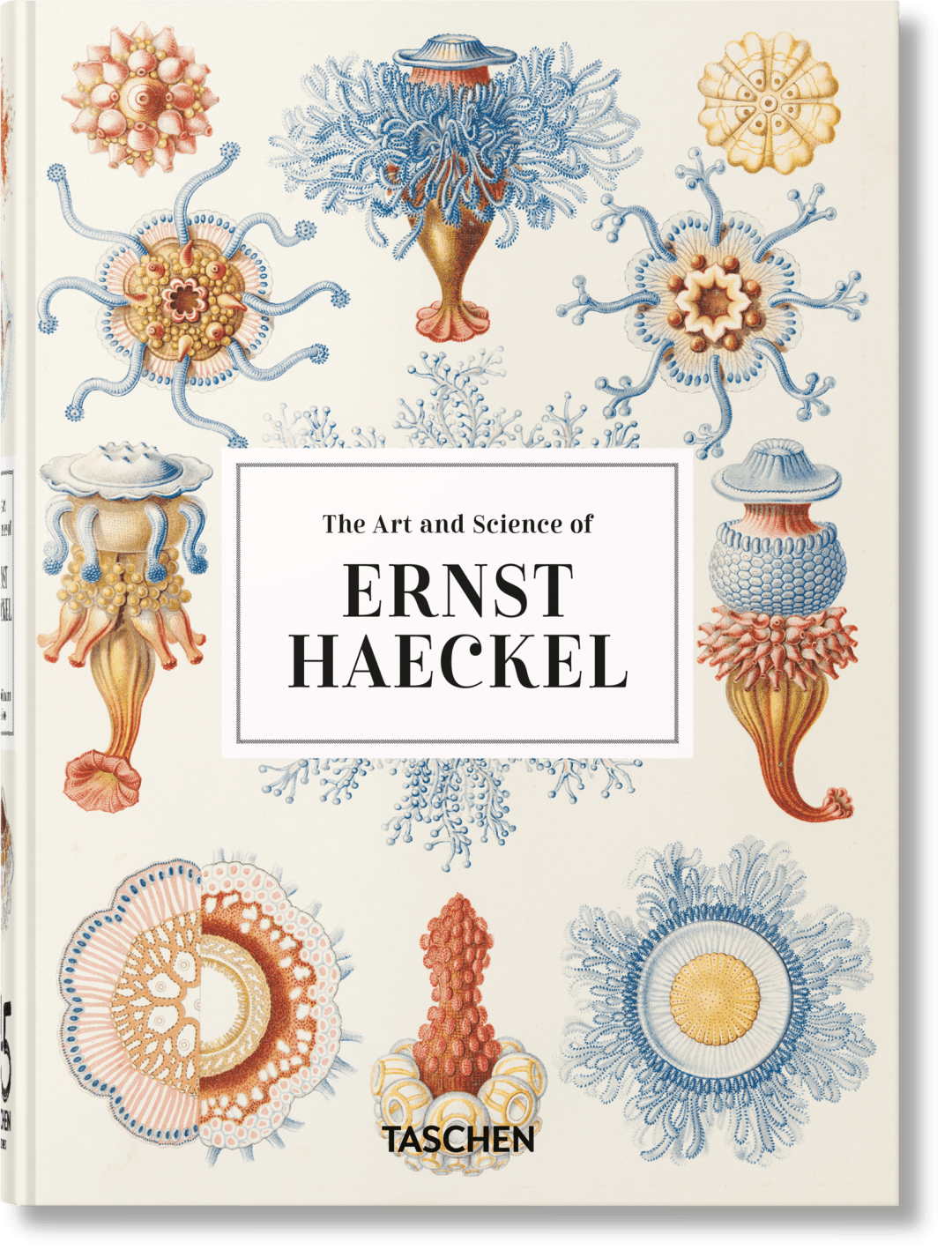 Ernst Haeckel. Kunst und Wissenschaft. 45th Ed.