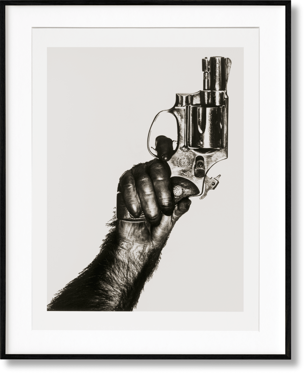 Albert Watson. Kaos. 2nd Edition. Art Edition No. 51â100, 'Monkey with Gun, New Yor