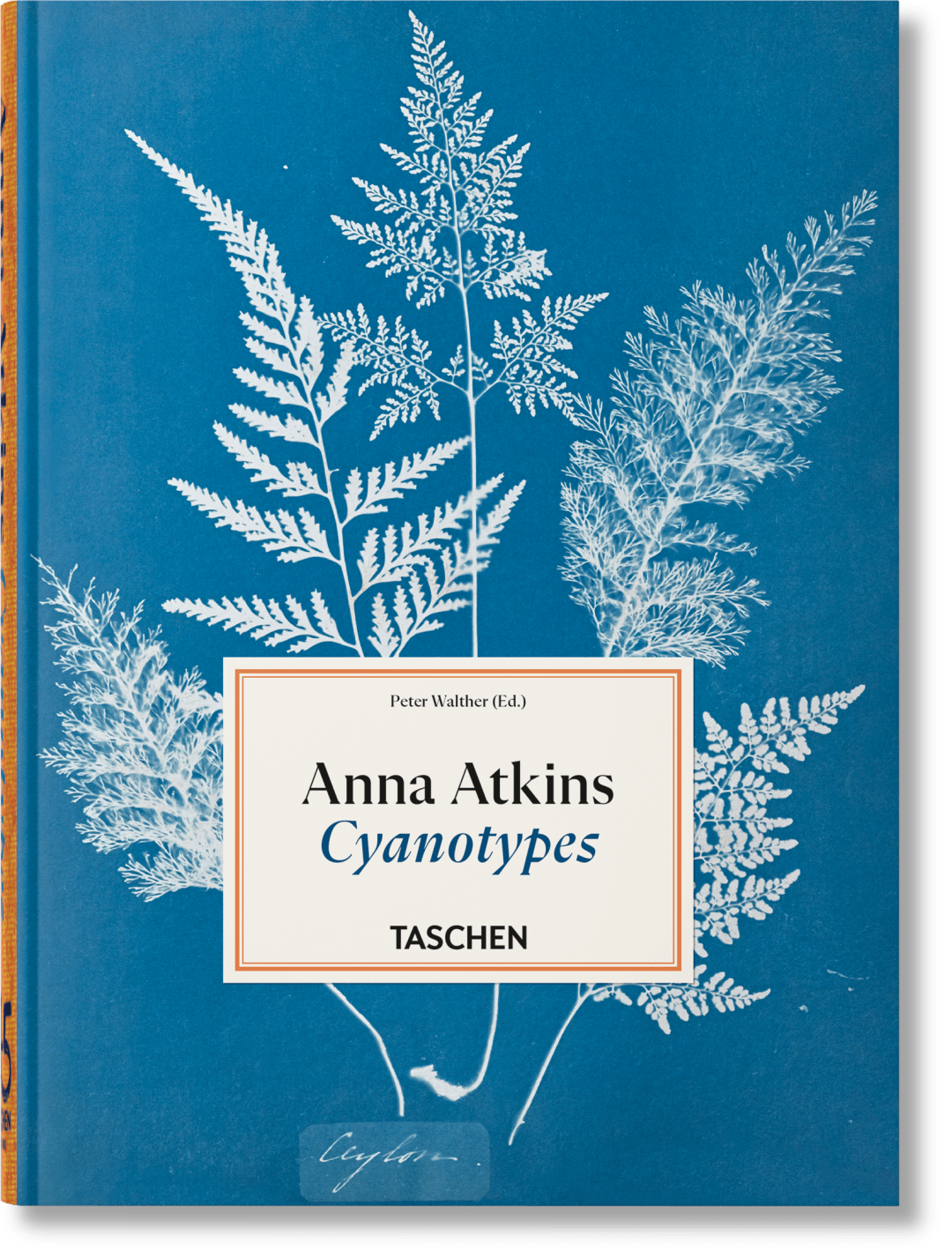 Anna Atkins. Cyanotypes. 45th Ed.