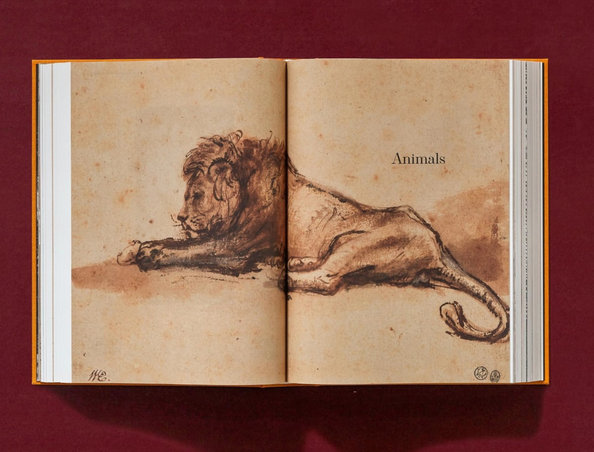 Rembrandt. Tous les dessins et toutes les eaux-fortes