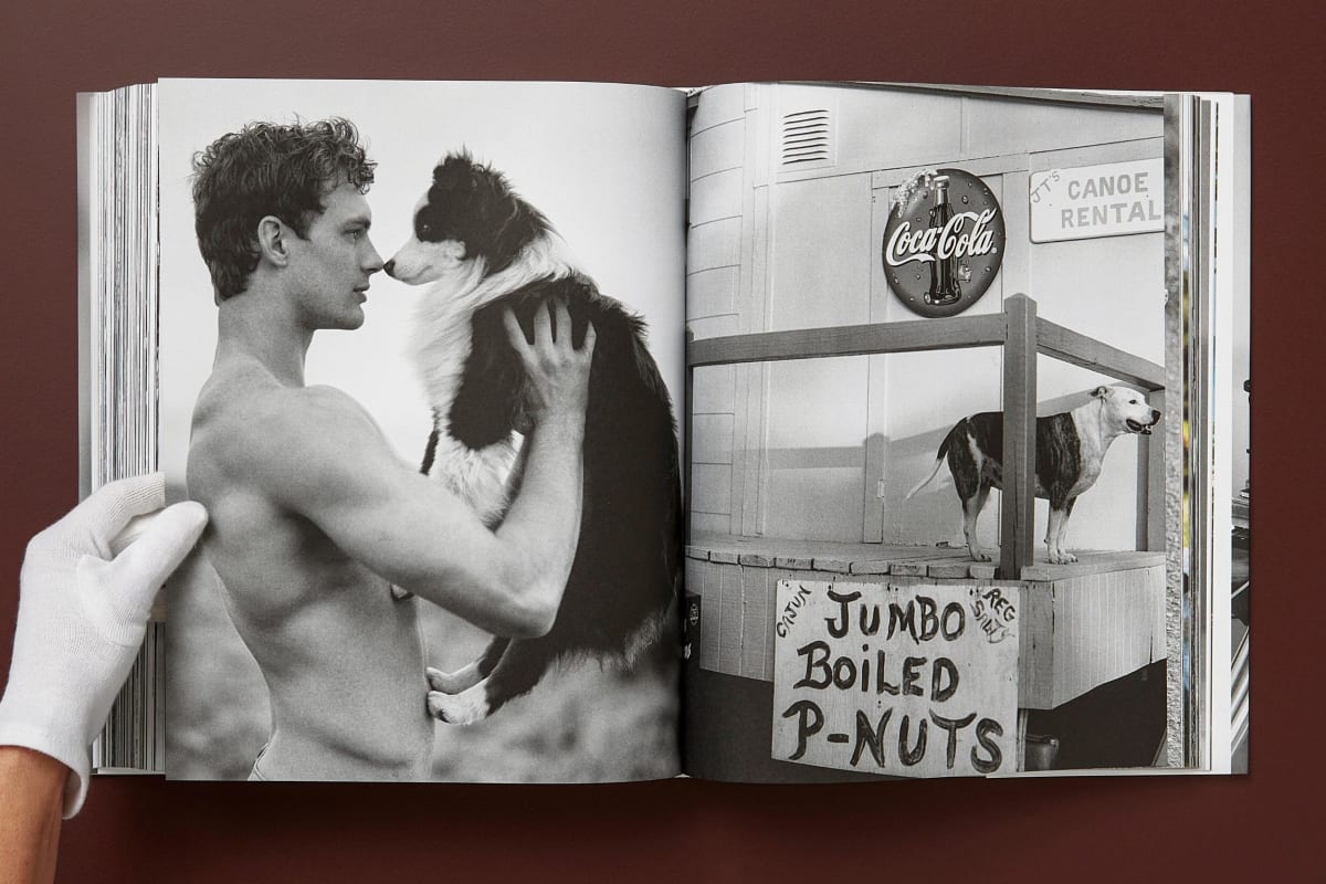 Bruce Weber. The Golden Retriever Photographic Society