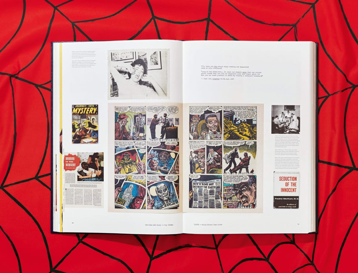 The Stan Lee Story