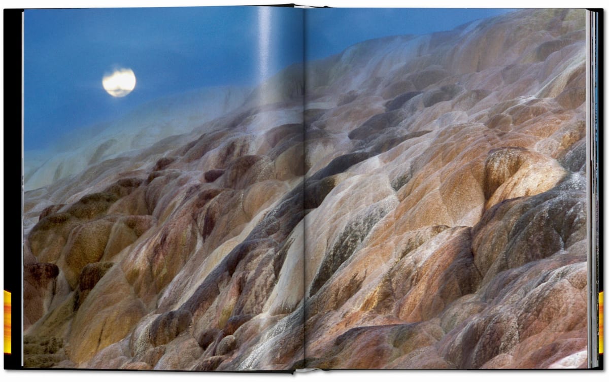 Frans Lanting. LIFE. A Journey Through Time