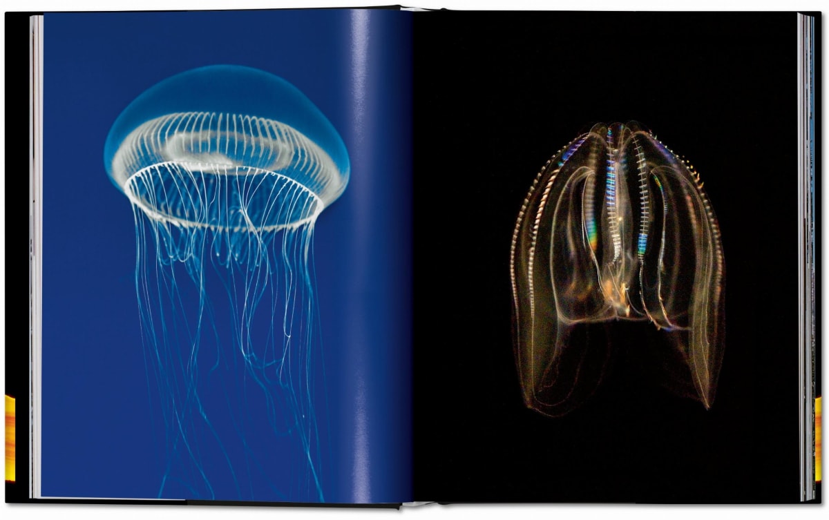 Frans Lanting. LIFE. A Journey Through Time