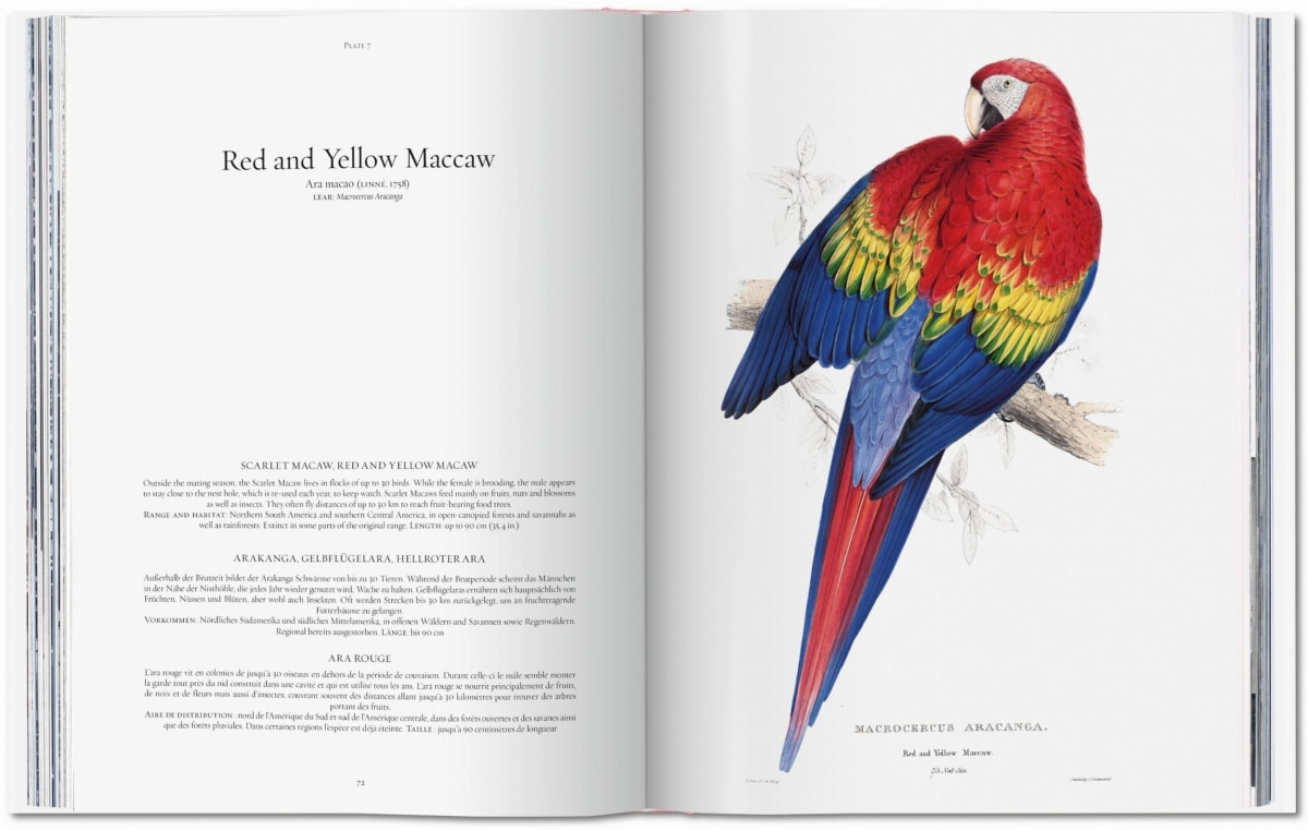 その他美術関連出品中希少 The Parrots Die Papageien 鳥 コレクター 画集