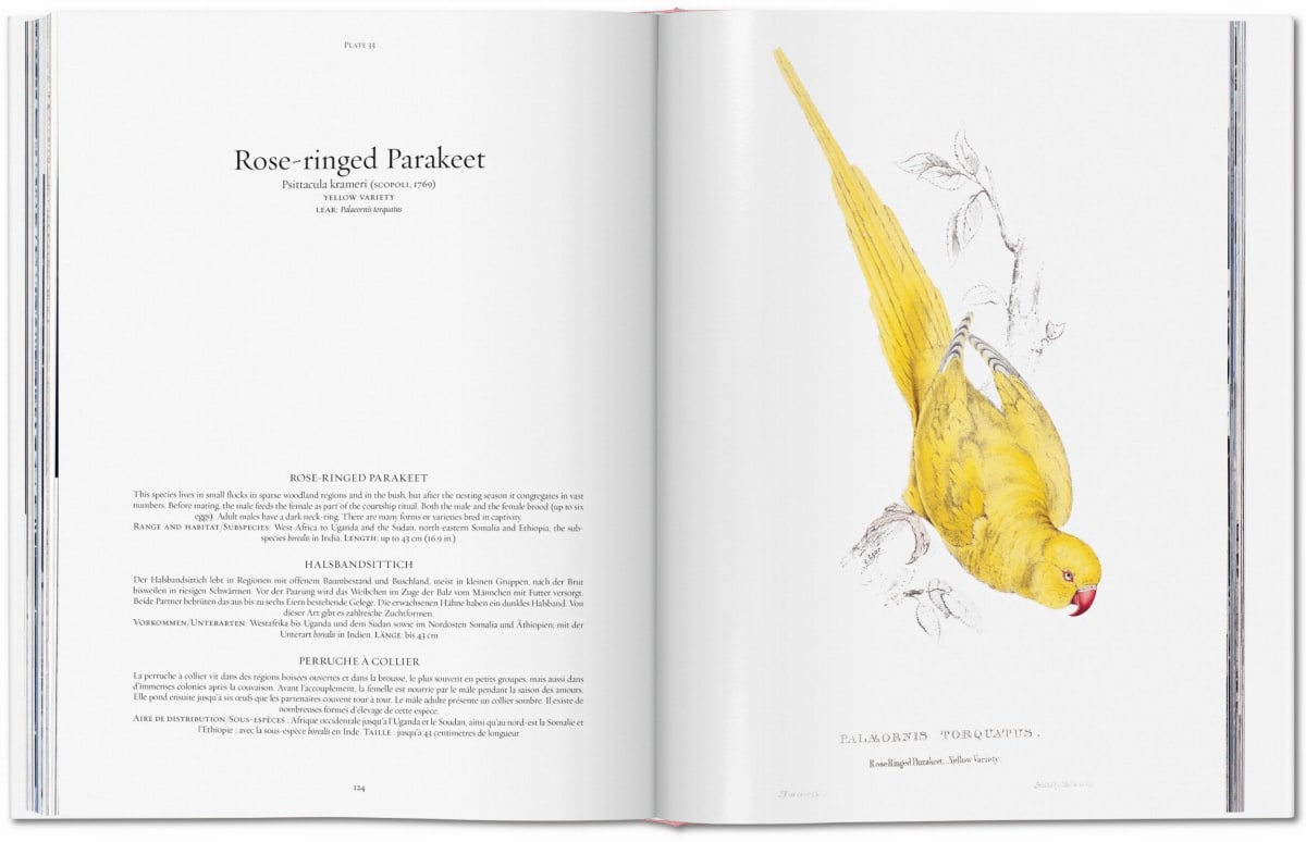 Edward Lear. The Parrots. The Complete Plates