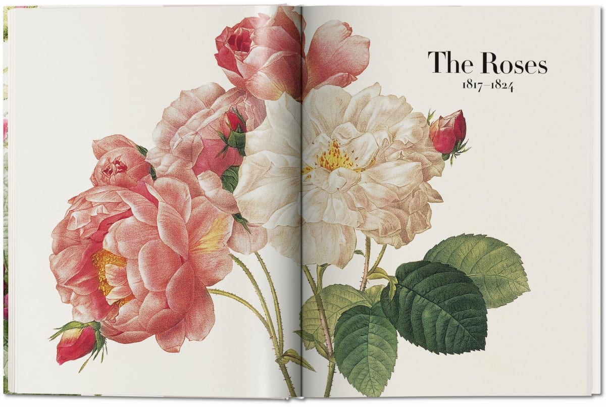 Redouté. Il libro dei fiori