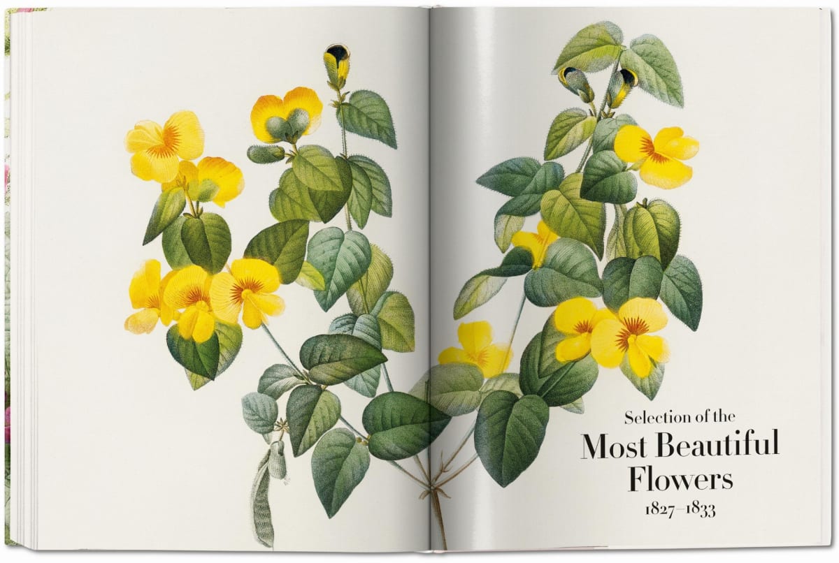 Redouté. Il libro dei fiori