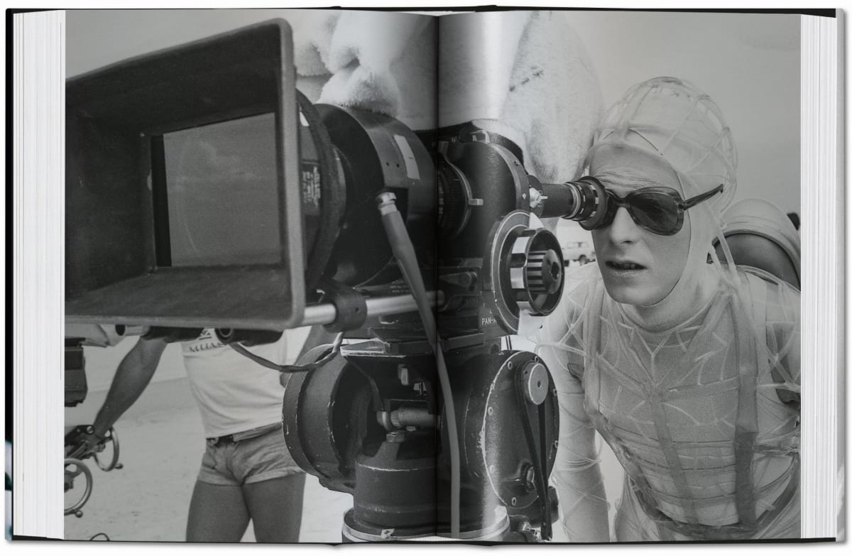 David Bowie. The Man Who Fell to Earth
