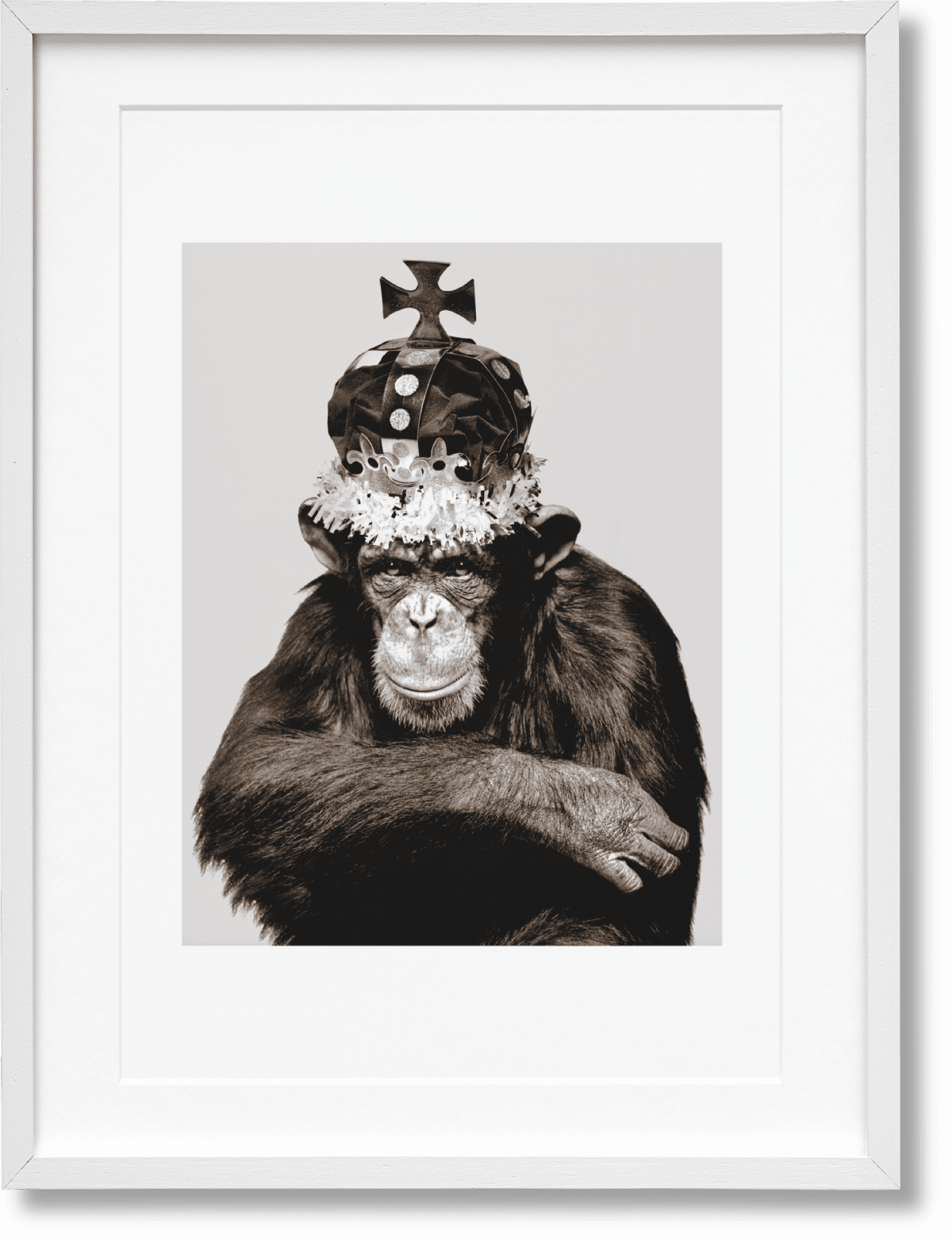 Albert Watson. Kaos. Art Edition No. 51–100 ‘King Casey, New York City, 1992’