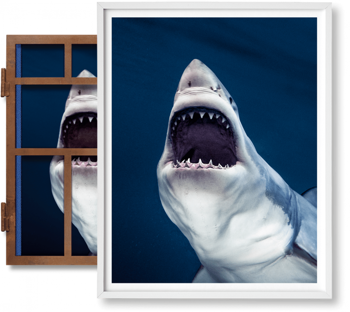 Michael Muller. Sharks, Art Edition No. 1–100 ‘Tear You Apart’