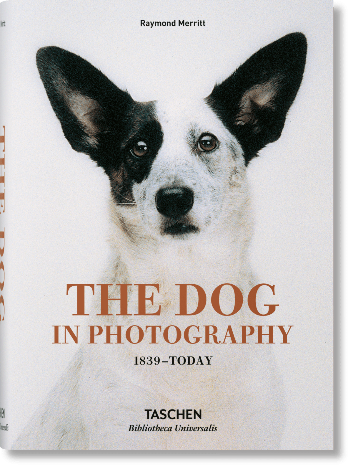Le chien dans la photographie 1839 à aujourd'hui
