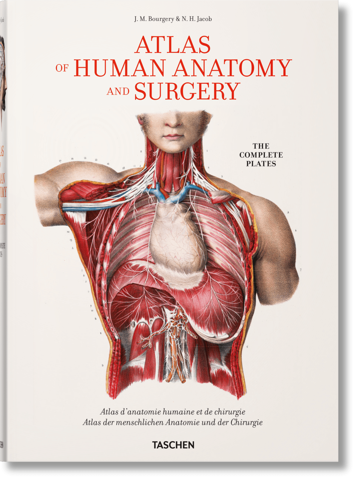 Bourgery. Atlas der menschlichen Anatomie und der Chirurgie