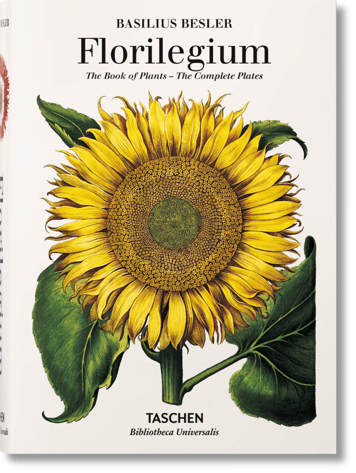 Basilius Besler. Florilegium. The Book of Plants