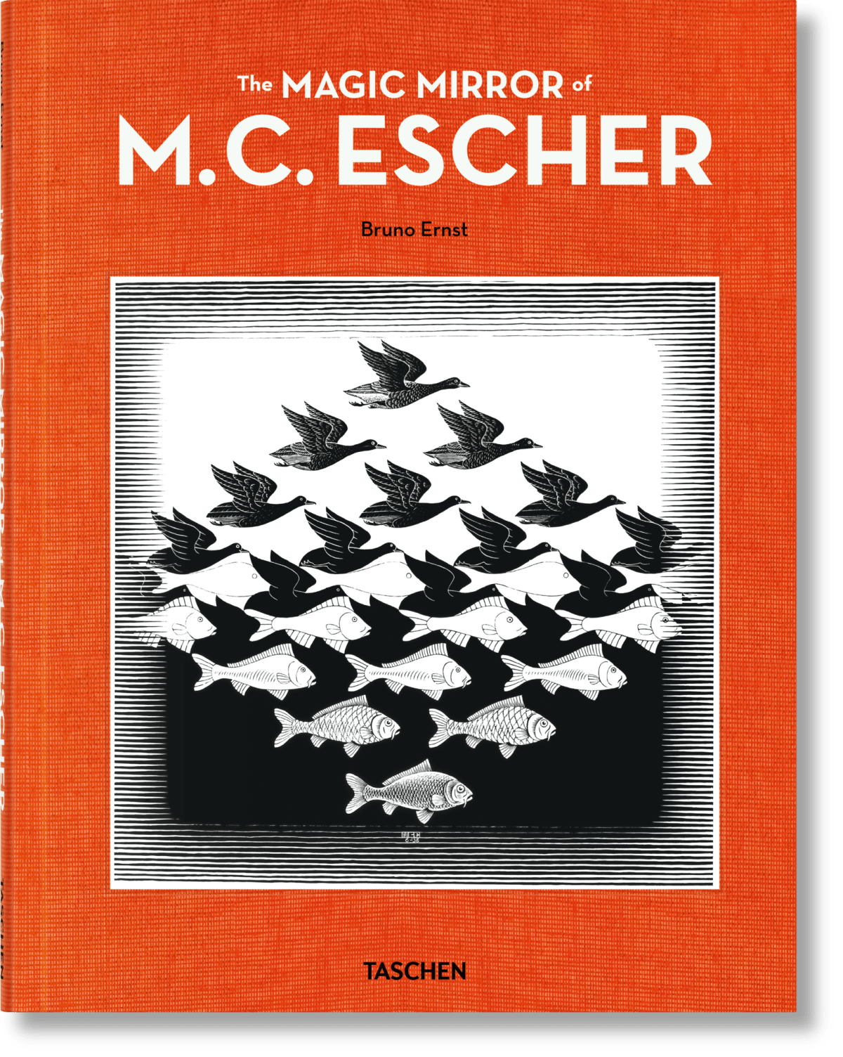 Le Miroir magique de M.C. Escher