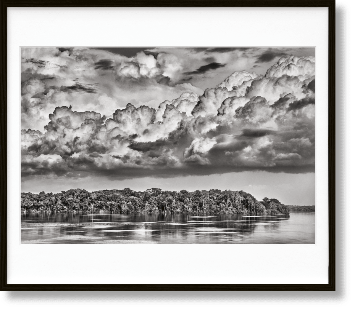 Sebastião Salgado. Amazônia. Art Edition No. 301–400 ‘The Paraná connecting the Rio Negro with the Cuyuní River’