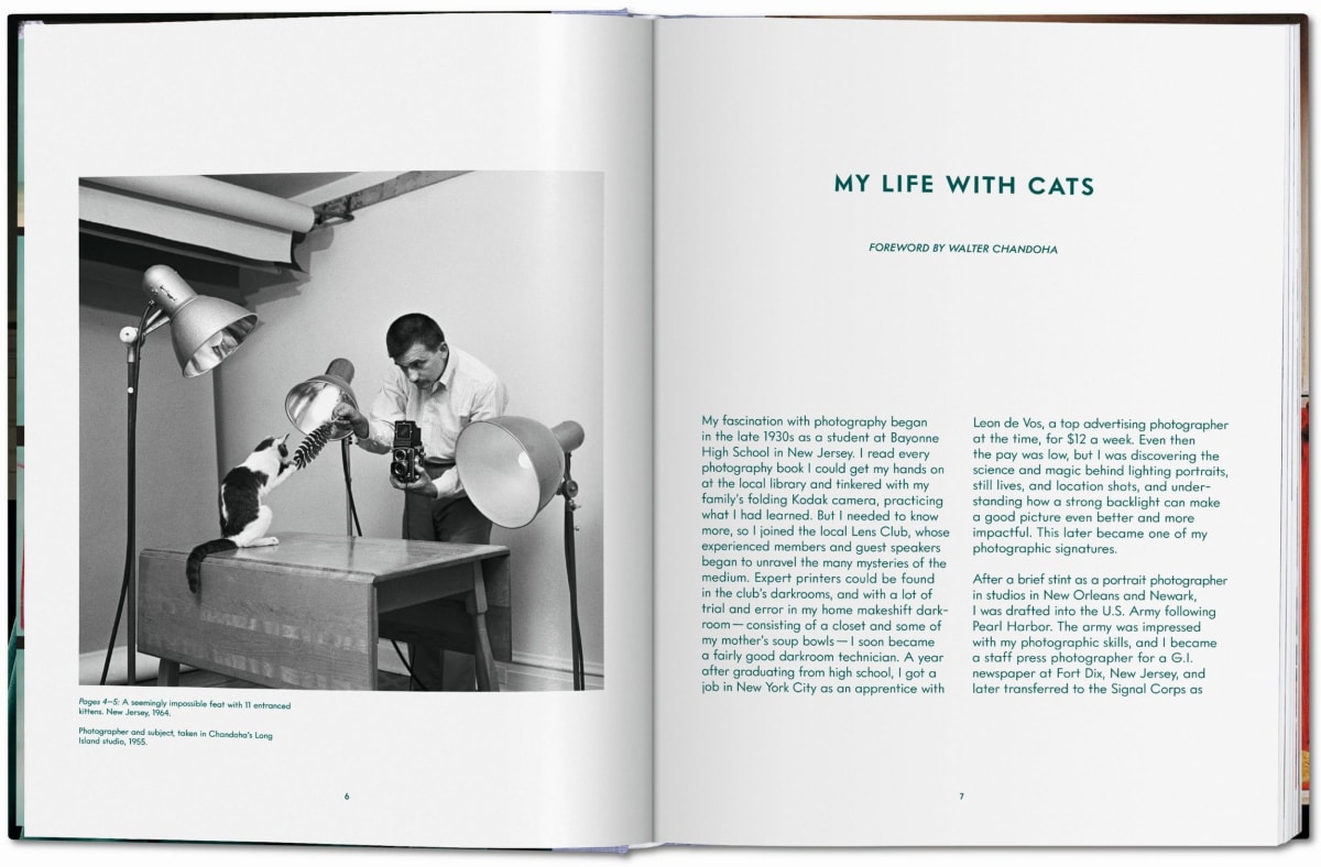 Walter Chandoha. Cats. Photographs 1942–2018
