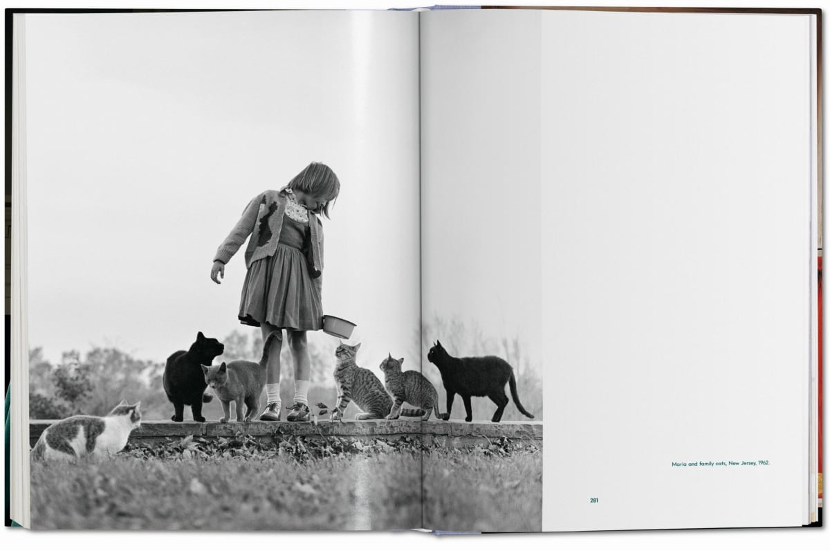 Walter Chandoha. Cats. Photographs 1942–2018