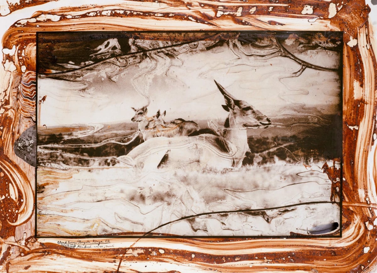 Peter Beard