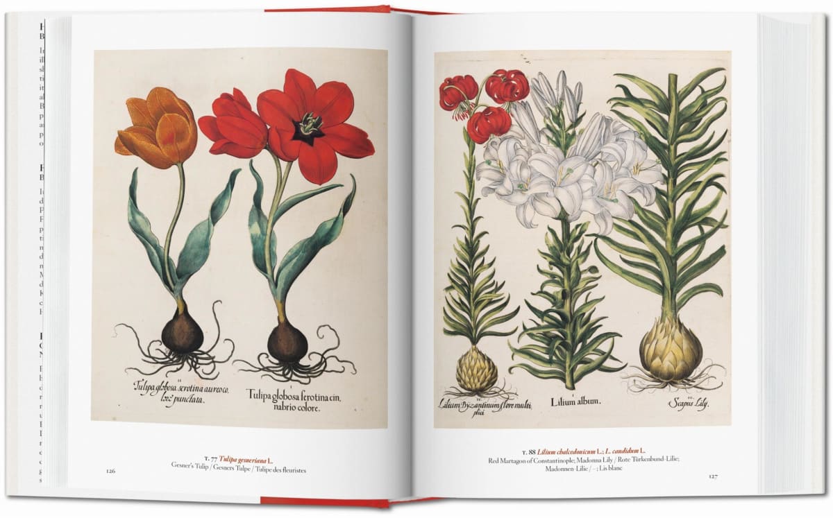 A Garden Eden. Masterpieces of Botanical Illustration. 40th Ed.
